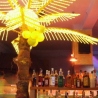 Y Disco & Coctail Bar (Balatonlelle)