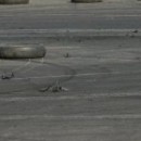 2009. 04. 04. szombat - Speed Car Racing Gyorsulási verseny - Kaposújlak (Repülőtér)