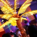 2010. 06. 19. szombat - Funky party - Y Club (Balatonlelle)