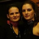 2010. 11. 20. szombat - Stereo Palma Night - Cola Club (Nagykanizsa)